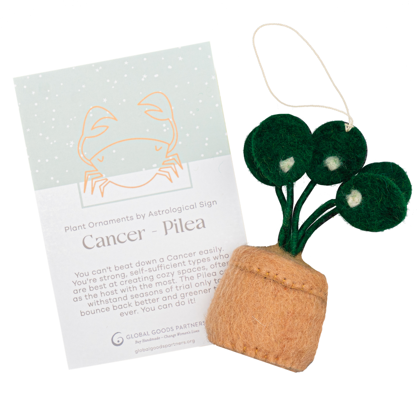 Plant Ornament Astrology Signs With Card: Libra / Peace Lily