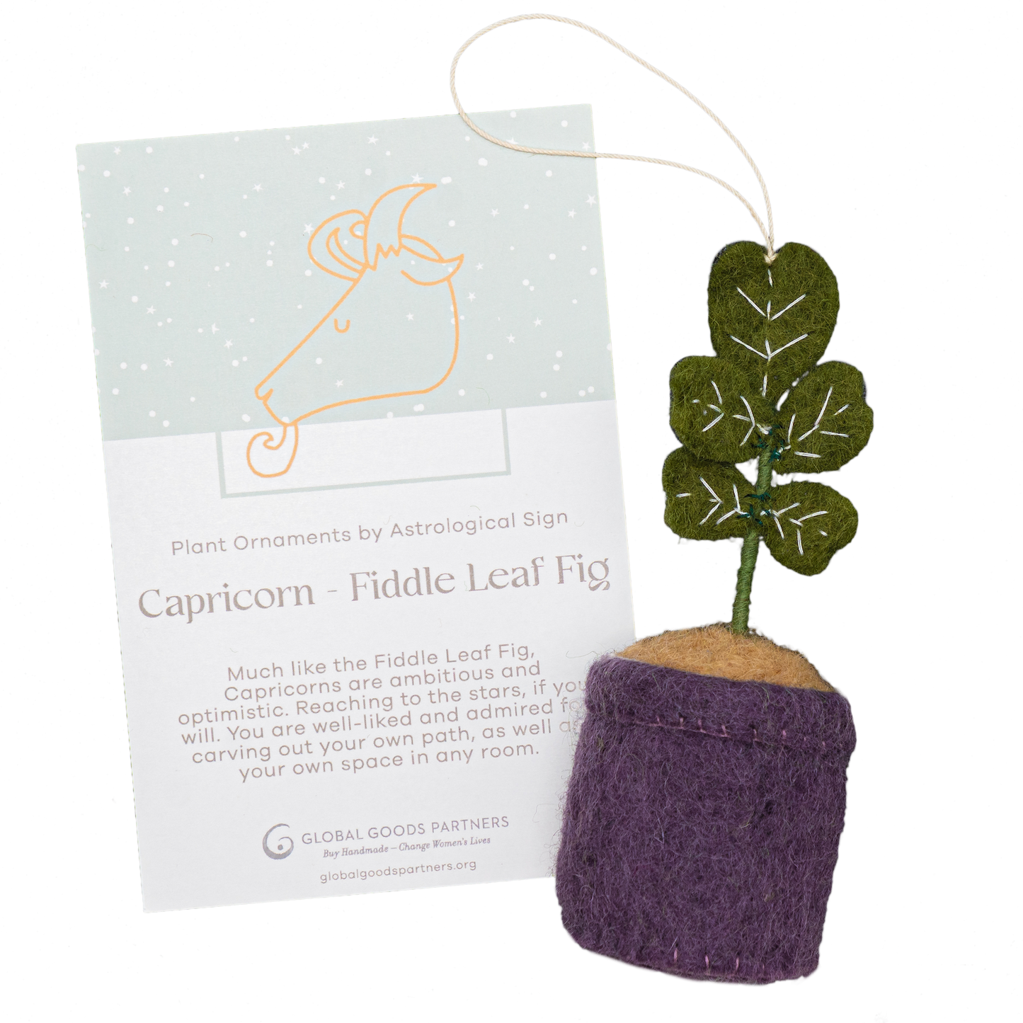 Plant Ornament Astrology Signs With Card: Libra / Peace Lily