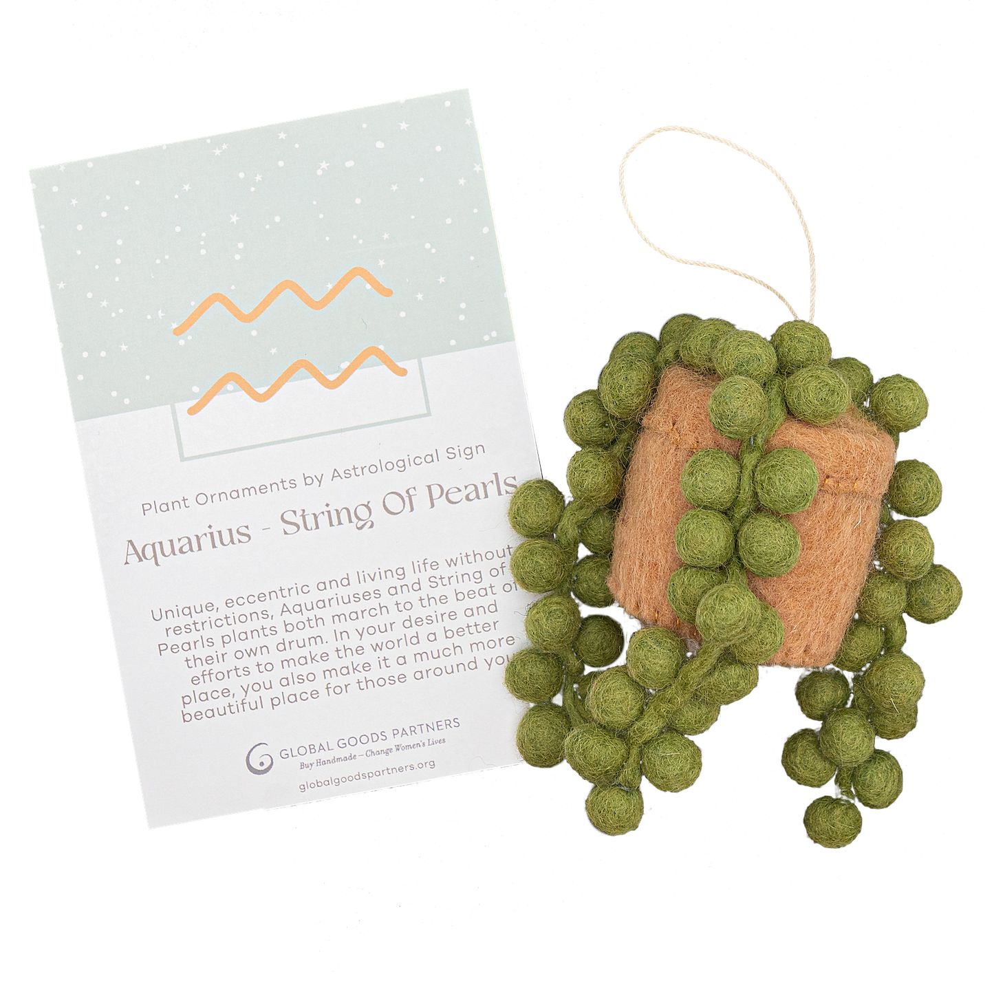 Plant Ornament Astrology Signs With Card: Libra / Peace Lily