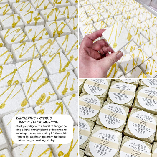 Aromatherapy Mentholated Shower Steamers-Breathe Easy & Relax: Tangerine + Citrus