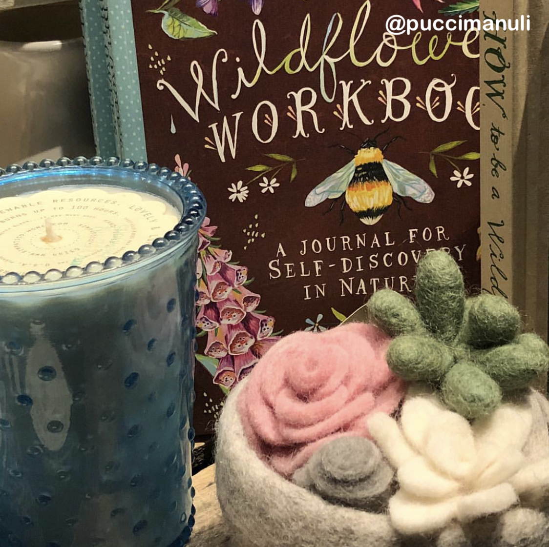 Felt Succulent Bowls: Pink Rose